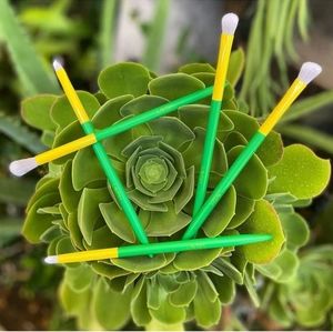 New Lavish 5 Piece Essential Eye Brush Collection